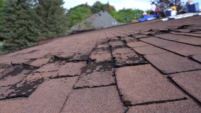 Best Roof Moss and Algae Removal  in Hickory, NC