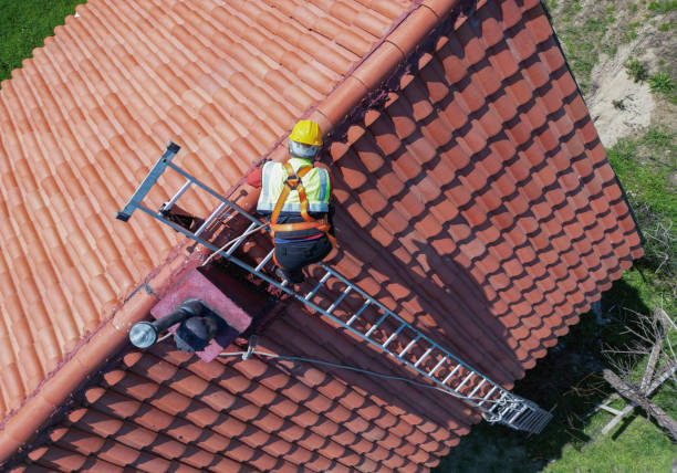 Best Roof Maintenance and Cleaning  in Hickory, NC